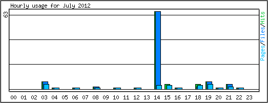 Hourly usage