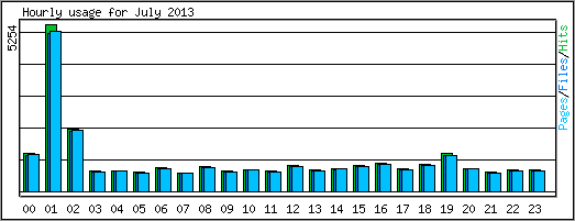 Hourly usage