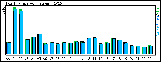 Hourly usage