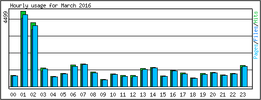 Hourly usage