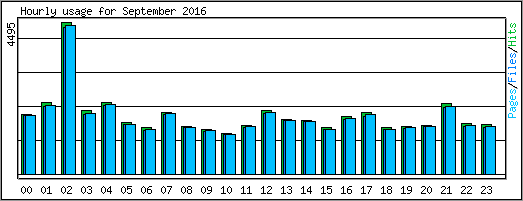 Hourly usage