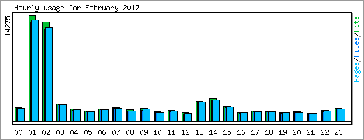 Hourly usage