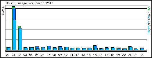 Hourly usage